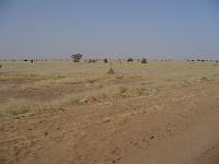 P1000186