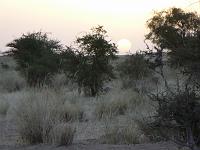P1000189