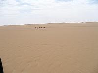 P1000306