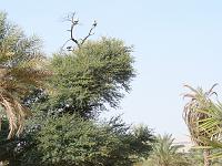 P1000358