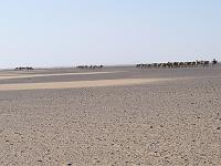 P1000441