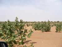 P1000489