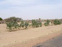 P1000495