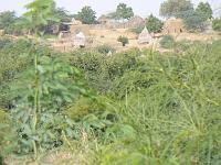 P1000534