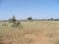 P1000598