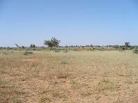 P1000599