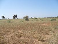 P1000604