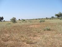 P1000605