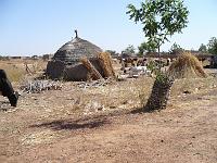 P1000619