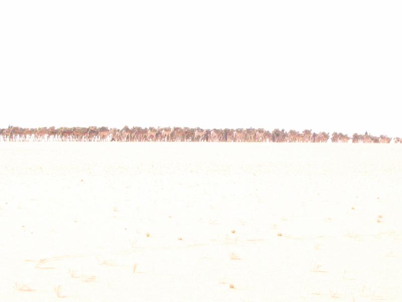 IMG_0007