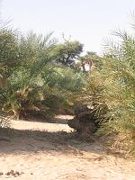 IMG_0002