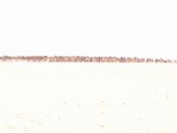 IMG_0007