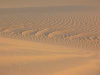 IMG_0024