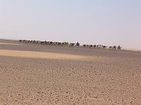IMG_0036
