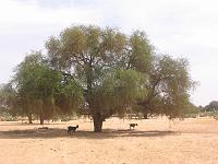 IMG_0054