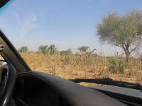 IMG_0067