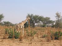 IMG_0068