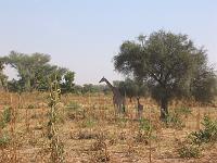 IMG_0070