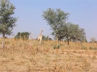IMG_0077