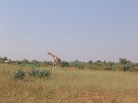 IMG_0078