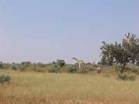 IMG_0079
