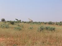 IMG_0080