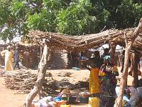 IMG_0092